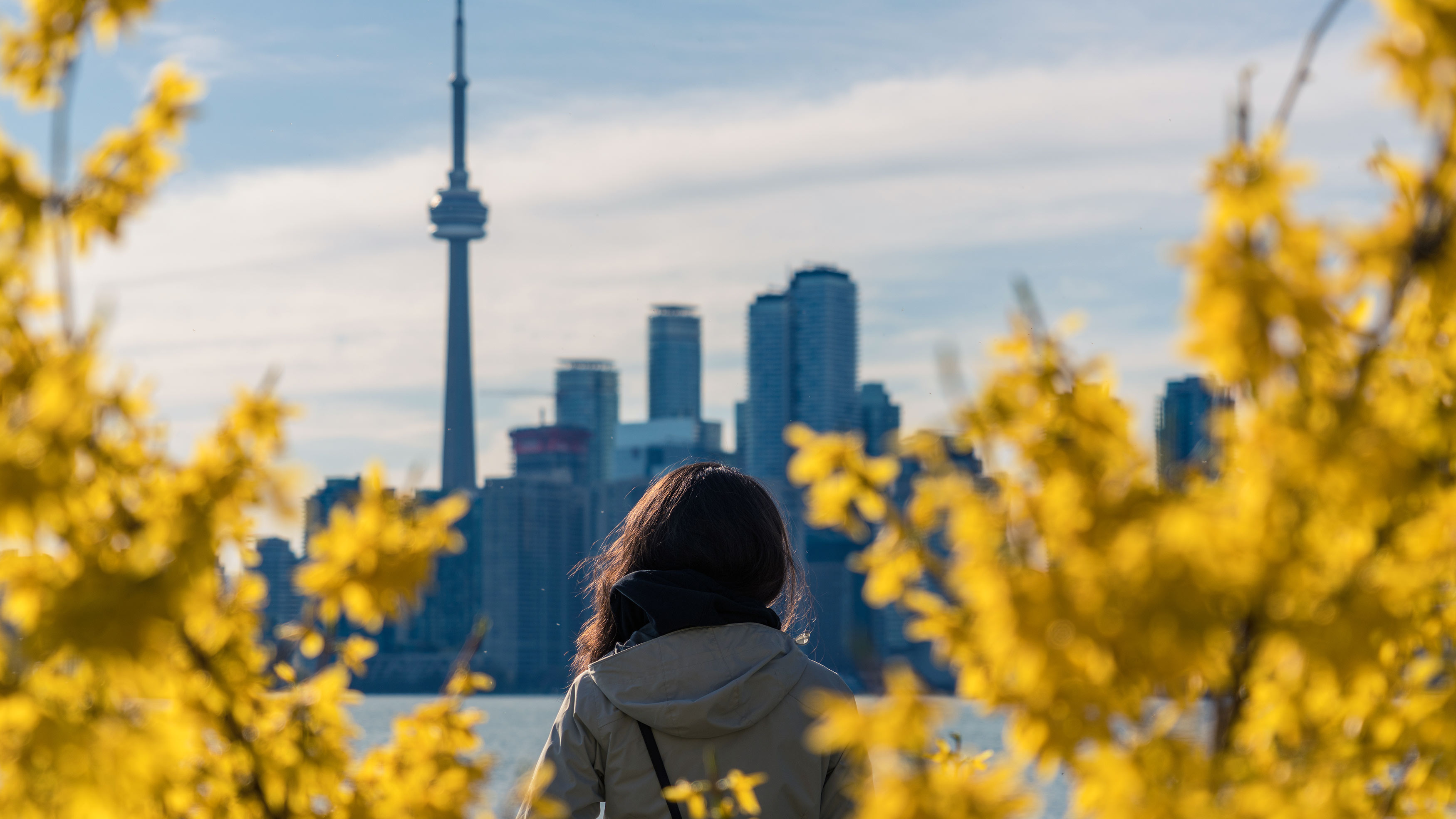 <p>Vous avez obtenu un PVT (ou Programme Vacances-Travail) pour le Canada ? Que vous décidiez de vous installer à Montréal, à Québec, à Toronto ou à Vancouver, il est important de prendre en compte votre maîtrise de la langue anglaise. À court et à long terme, savoir parler anglais vous permettra de mieux vous intégrer et d’avoir de meilleures opportunités professionnelles. Mais comment apprendre l’anglais de manière efficace et pour un prix abordable ?</p> 
<h3></h3>